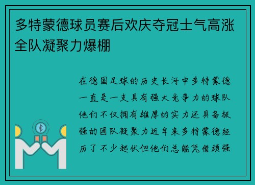多特蒙德球员赛后欢庆夺冠士气高涨全队凝聚力爆棚